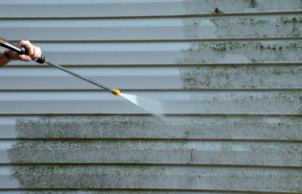 Attic Mold Removal in South Rosemary, NC